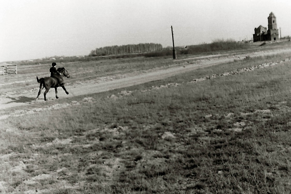 Бельское. Церковь Благовещения Пресвятой Богородицы. архивная фотография, Вид на церковь со стороны погоста. Использовалась под хранение зерна.