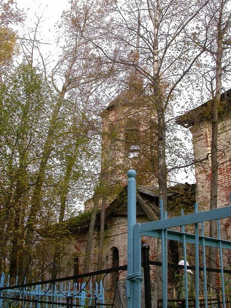 Церковь Илии Пророка, Ильинское, урочище (Шекснинский район, Вологодская область). общий вид в ландшафте