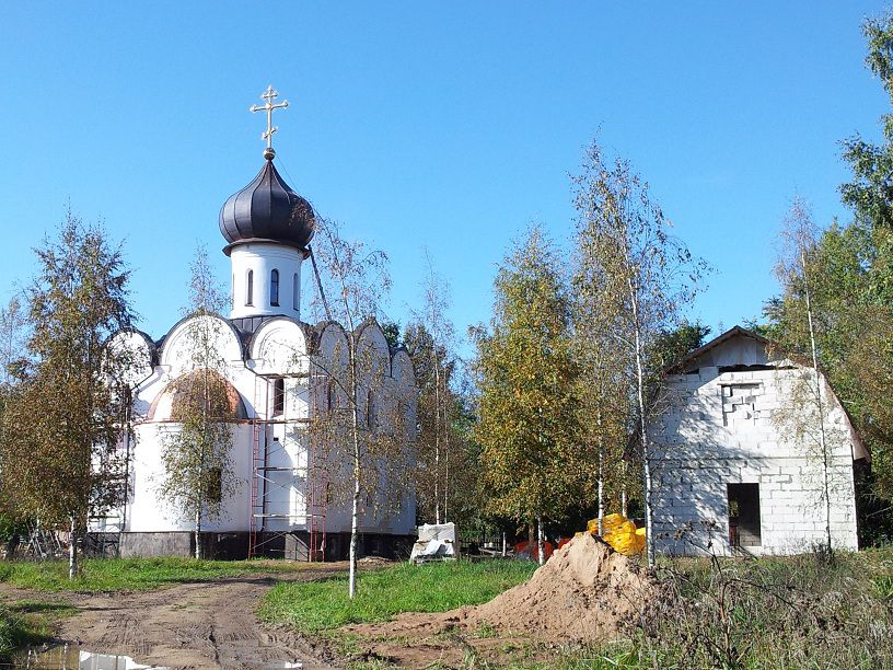 Церковь Ксении Петербургской, Жабино (Гатчинский район, Ленинградская область). общий вид в ландшафте