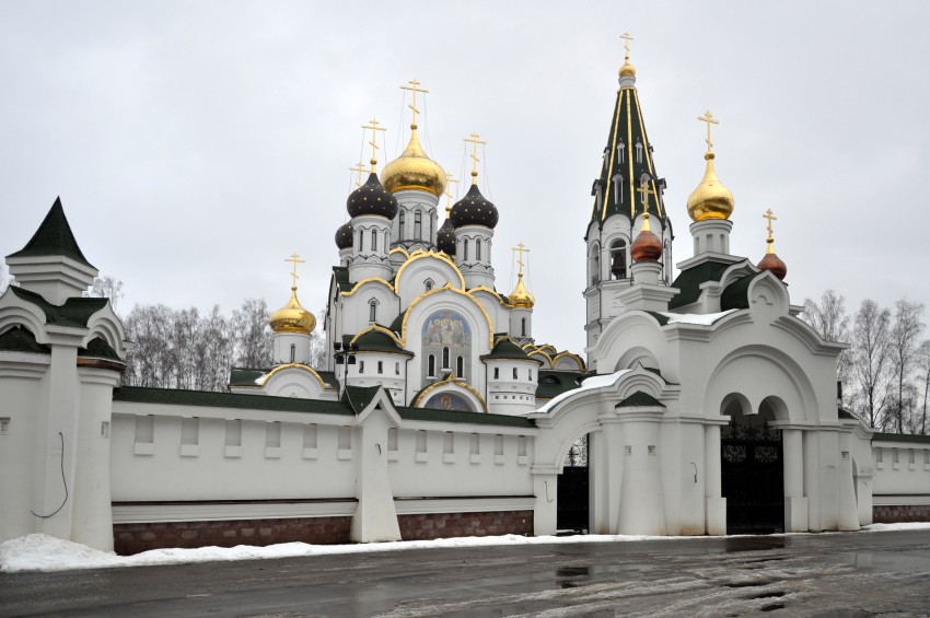 Княжье Озеро. Церковь Александра Невского. общий вид в ландшафте