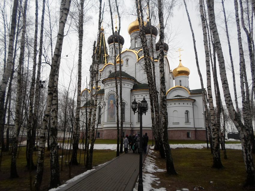 Церковь Александра Невского, Княжье Озеро (Истринский городской округ и ЗАТО Восход, Московская область). фасады