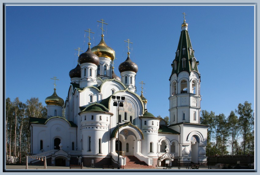 Церковь Александра Невского, Княжье Озеро (Истринский городской округ и ЗАТО Восход, Московская область). общий вид в ландшафте