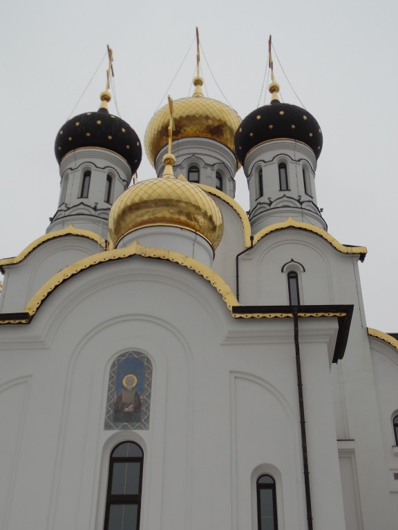 Церковь Александра Невского, Княжье Озеро (Истринский городской округ и ЗАТО Восход, Московская область). архитектурные детали