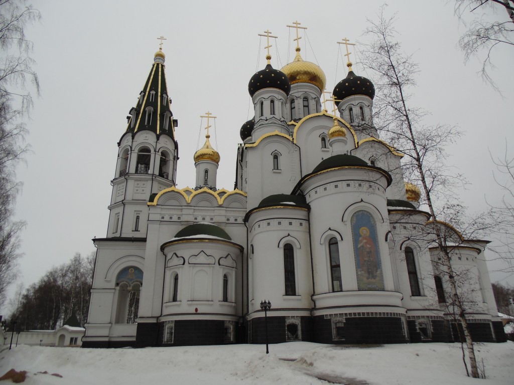 Княжье Озеро. Церковь Александра Невского. фасады