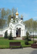 Княжье Озеро. Александра Невского, церковь