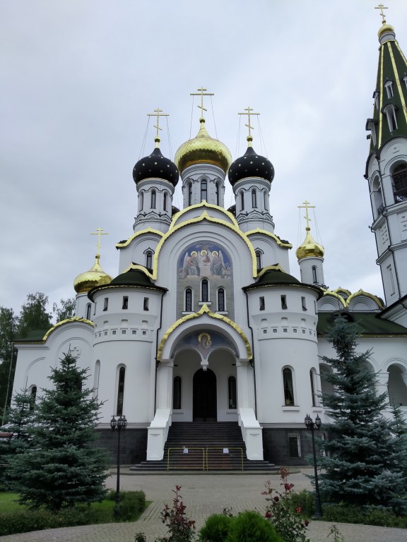 Церковь Александра Невского, Княжье Озеро (Истринский городской округ и ЗАТО Восход, Московская область). архитектурные детали