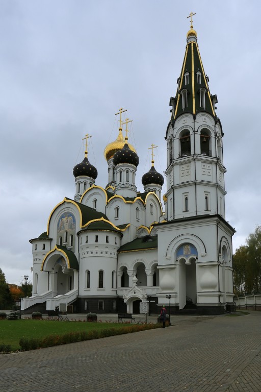 Церковь Александра Невского, Княжье Озеро (Истринский городской округ и ЗАТО Восход, Московская область). фасады