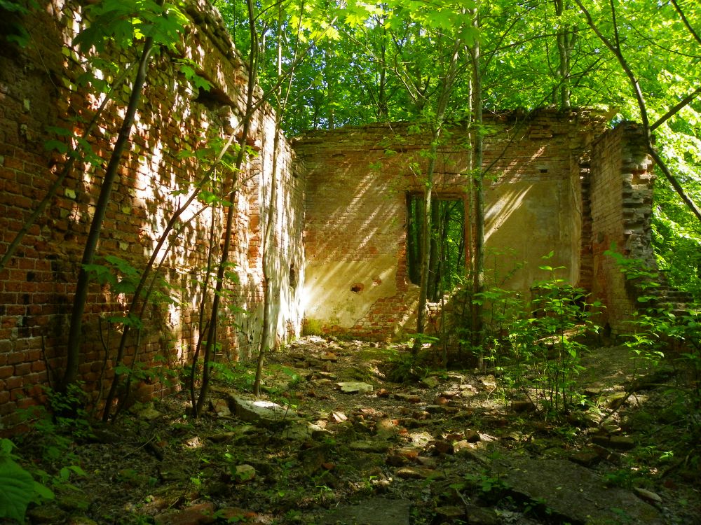 Церковь Екатерины в Сергиевке, Петергоф (Санкт-Петербург, Петродворцовый район, г. Санкт-Петербург). интерьер и убранство