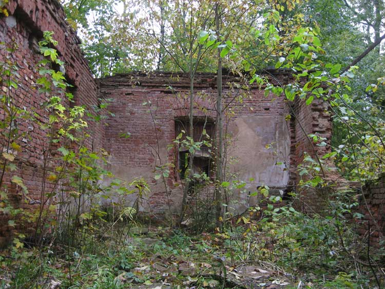 Церковь Екатерины в Сергиевке, Петергоф (Санкт-Петербург, Петродворцовый район, г. Санкт-Петербург). фасады, Внутренний вид