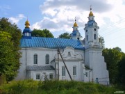 Церковь Троицы Живоначальной - Вольно - Барановичский район - Беларусь, Брестская область