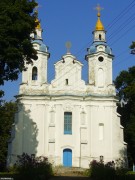 Церковь Троицы Живоначальной - Вольно - Барановичский район - Беларусь, Брестская область