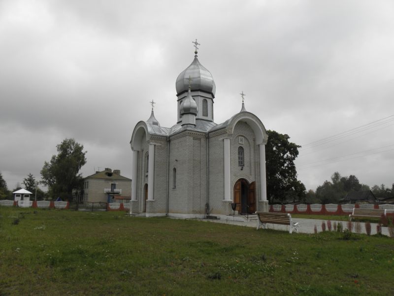 Петковичи. Церковь Троицы Живоначальной. общий вид в ландшафте