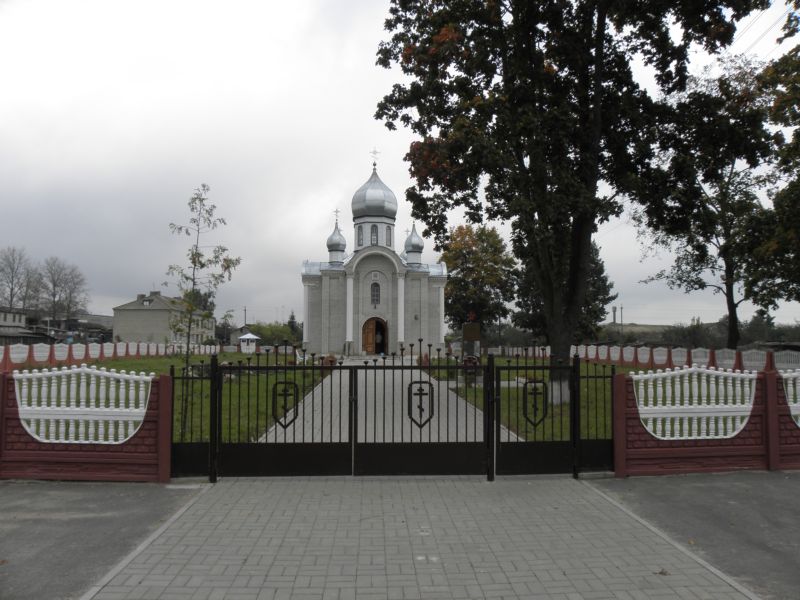 Петковичи. Церковь Троицы Живоначальной. общий вид в ландшафте