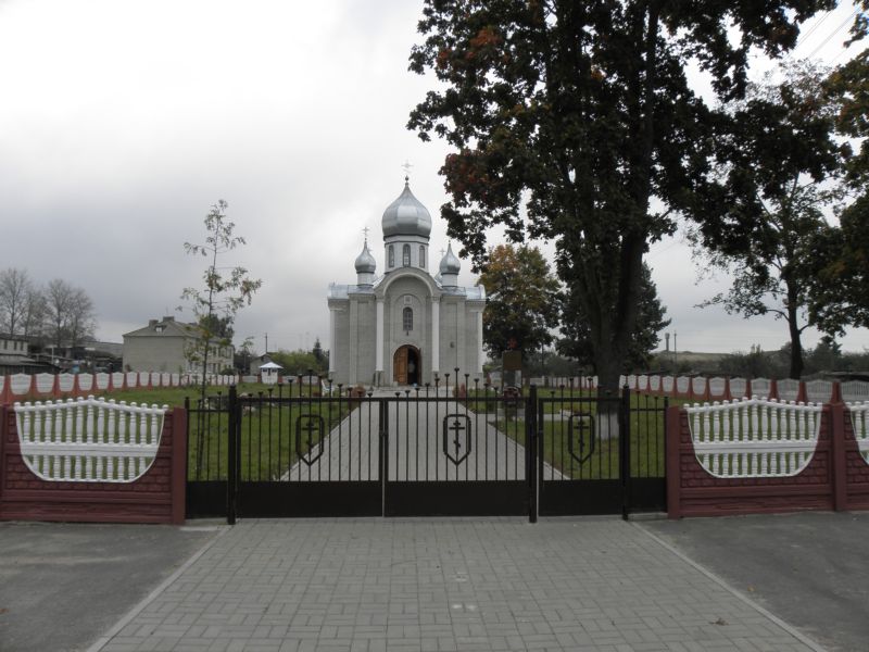 Церковь Троицы Живоначальной, Петковичи (Барановичский район, Беларусь, Брестская область). общий вид в ландшафте