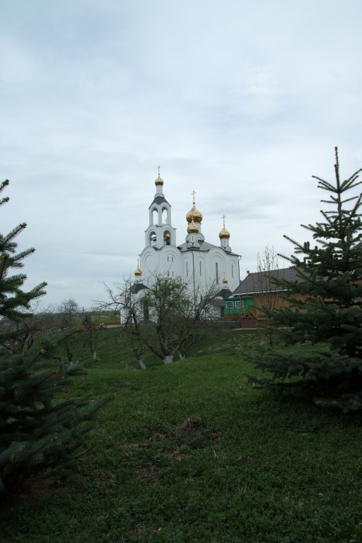 Покровские Селищи. Варсонофиевский монастырь. фасады