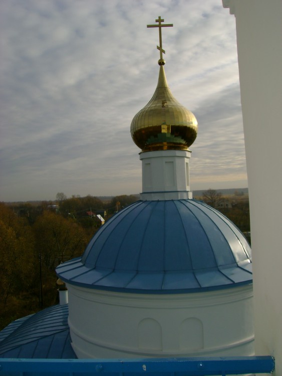 Семёновское. Церковь Богоявления Господня. архитектурные детали, Вид с колокольни храма