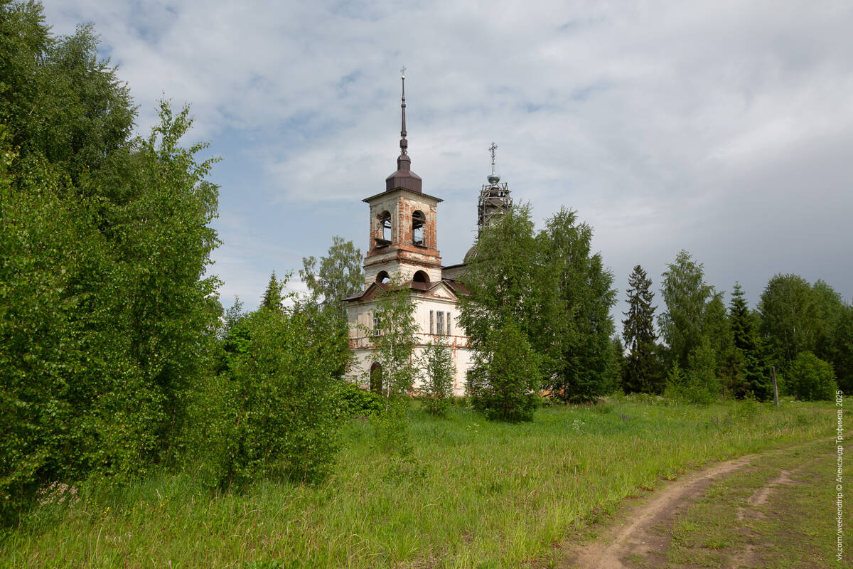 Церковь Спаса Всемилостивого на Боровине, Боровина (Верховажский район, Вологодская область). общий вид в ландшафте