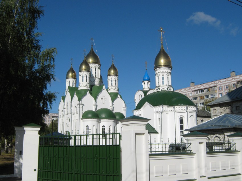 Рязань. Церковь Александра Невского в Дашково-Песочне. общий вид в ландшафте
