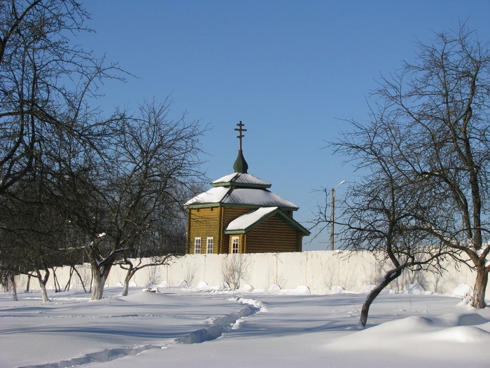 Жуковка. Церковь Покрова Пресвятой Богородицы. общий вид в ландшафте