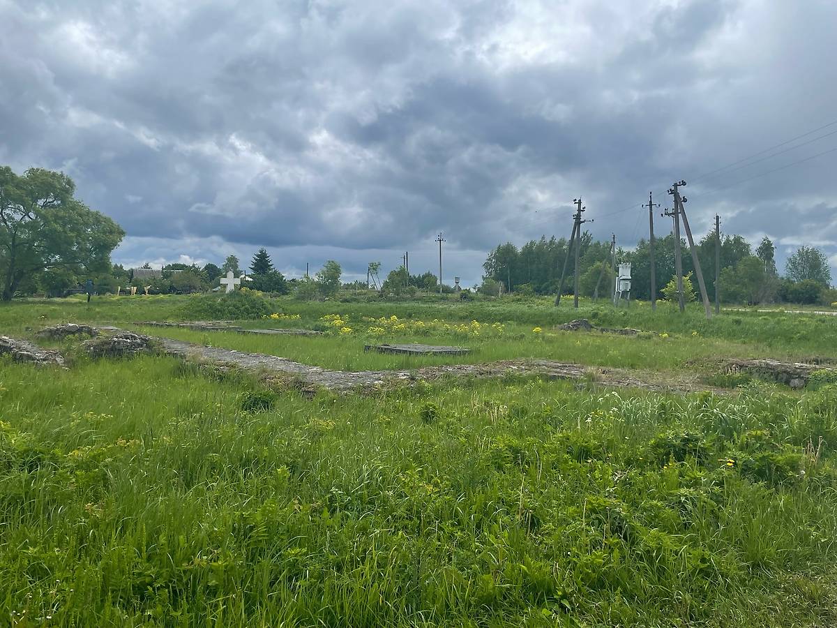 общий вид в ландшафте. Церковь Преображения Господня, Вщиж (Жуковский район, Брянская область)
