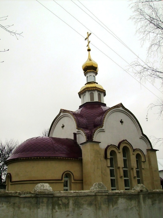 Церковь Пантелеимона Целителя при больнице имени святителя Луки, Тамбов (Тамбов, город, Тамбовская область). документальные фотографии, Вид северо-востока