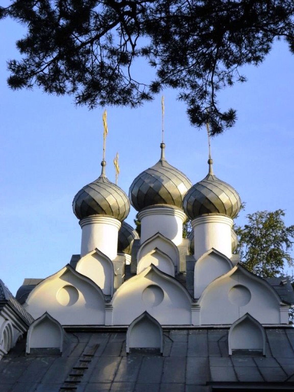 Новосибирск. Церковь Николая Чудотворца. архитектурные детали, Вид на массив куполов с севера