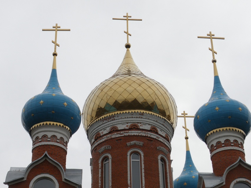 Церковь Николая и Александры, царственных страстотерпцев, Рязань (Рязань, город, Рязанская область). архитектурные детали, Купола