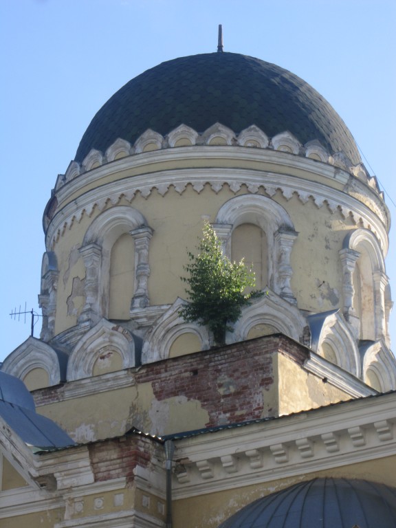 Николо-Берлюковская пустынь. Собор Троицы Живоначальной, Авдотьино (Богородский городской округ, Московская область). архитектурные детали
