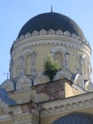 Николо-Берлюковская пустынь. Собор Троицы Живоначальной, , Авдотьино, Богородский городской округ, Московская область