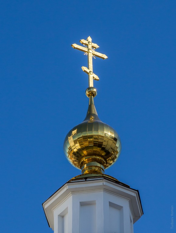 Николо-Берлюковская пустынь. Собор Христа Спасителя, Авдотьино (Богородский городской округ, Московская область). архитектурные детали