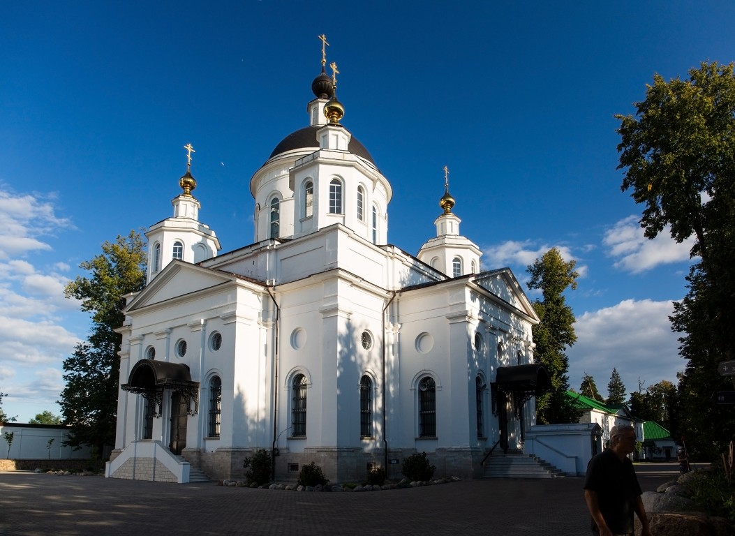 Николо-Берлюковская пустынь. Собор Христа Спасителя, Авдотьино (Богородский городской округ, Московская область). фасады