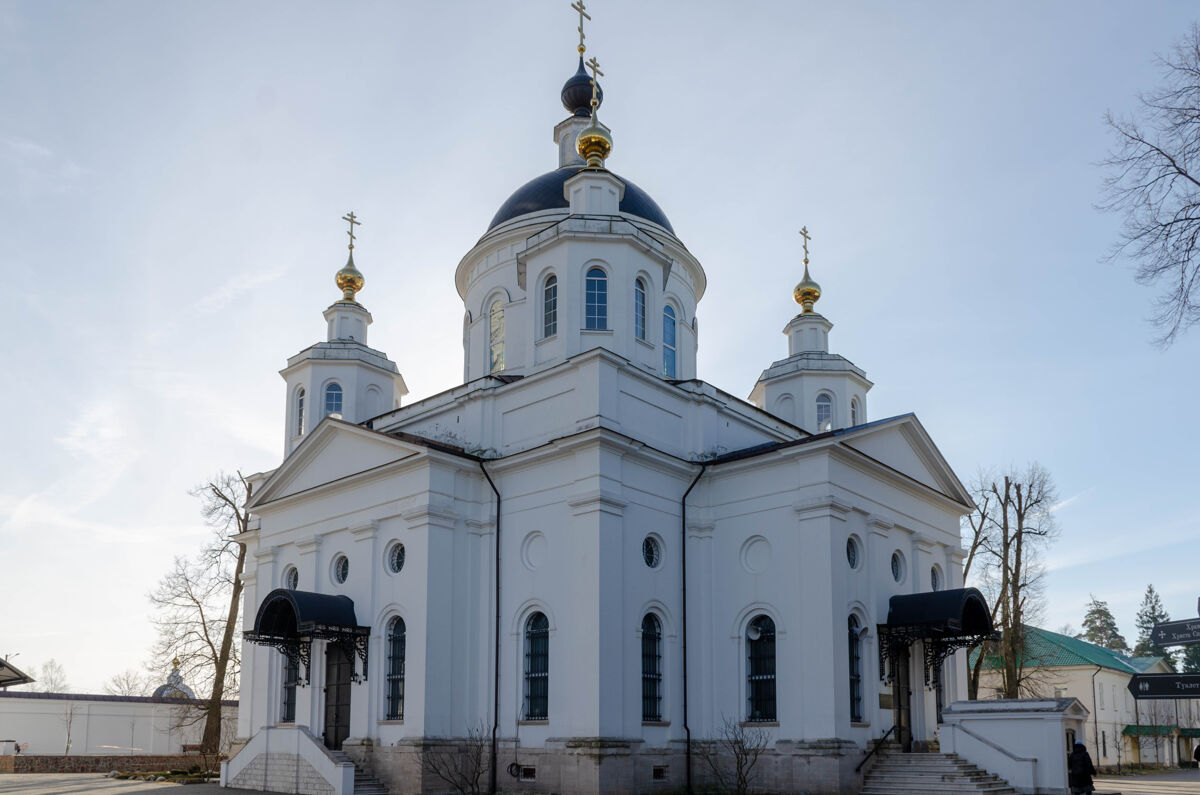 Николо-Берлюковская пустынь. Собор Христа Спасителя, Авдотьино (Богородский городской округ, Московская область). фасады
