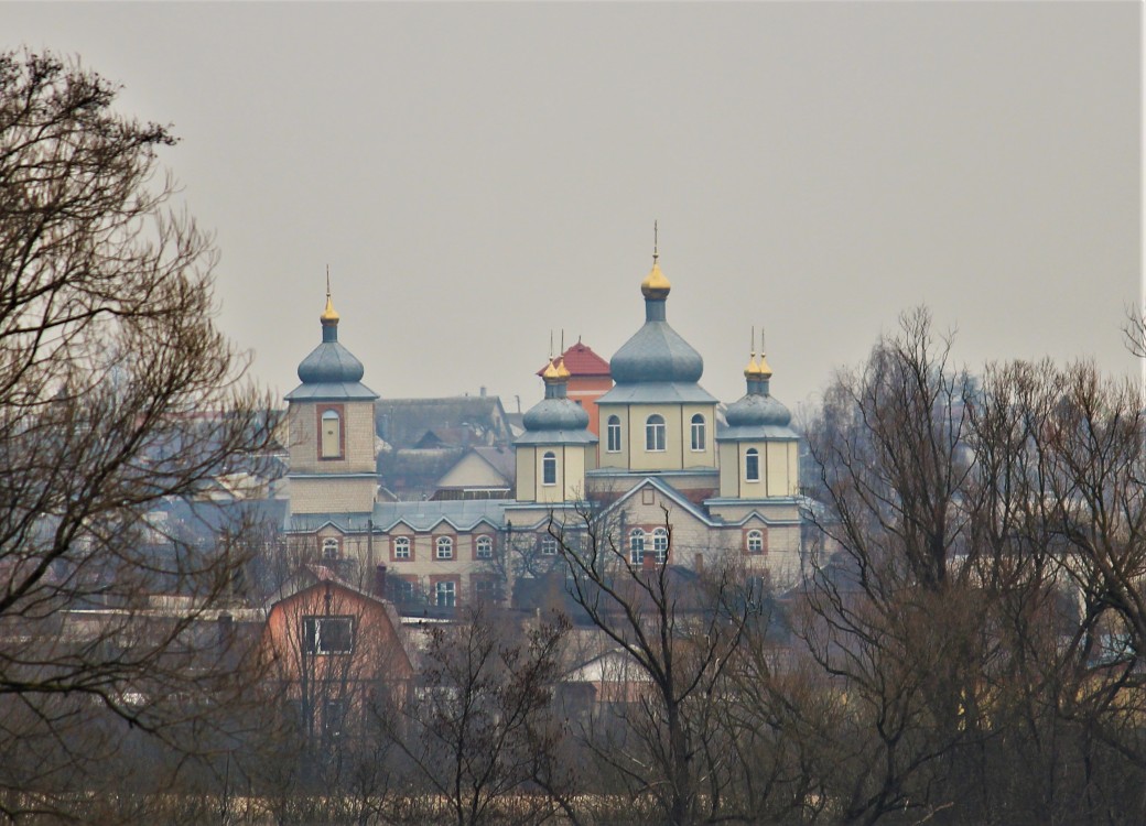 Собор Николая Чудотворца, Добруш (Добрушский район, Беларусь, Гомельская область). общий вид в ландшафте, Вид в застройке от моста через Ипуть