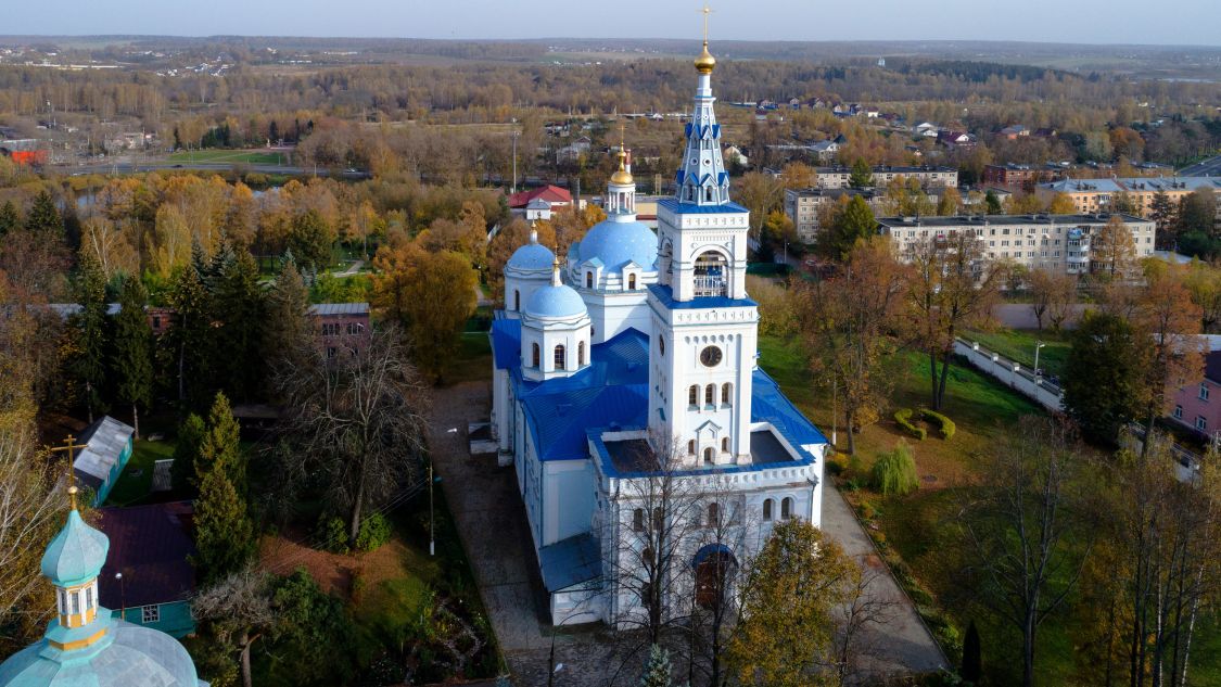 Деденево. Спасо-Влахернский монастырь. Собор Спаса Нерукотворного Образа. общий вид в ландшафте