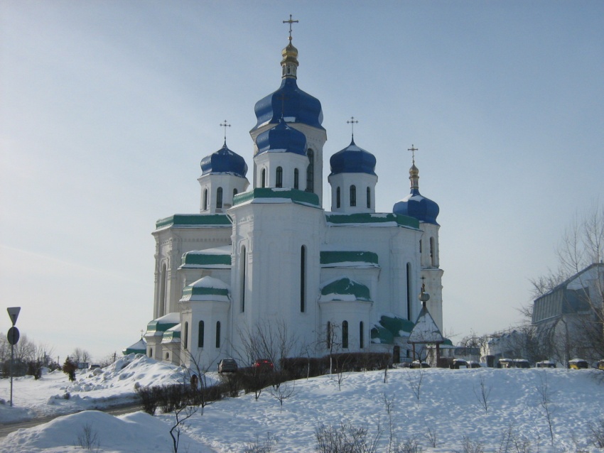 Собор Троицы Живоначальной на Троещине, Троещина (Деснянский район, Украина, г. Киев). общий вид в ландшафте