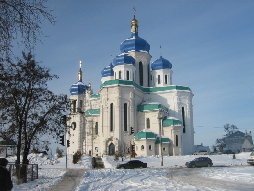 Собор Троицы Живоначальной на Троещине, Троещина (Деснянский район, Украина, г. Киев). общий вид в ландшафте