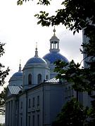 Деденево. Спасо-Влахернский монастырь. Собор Спаса Нерукотворного Образа