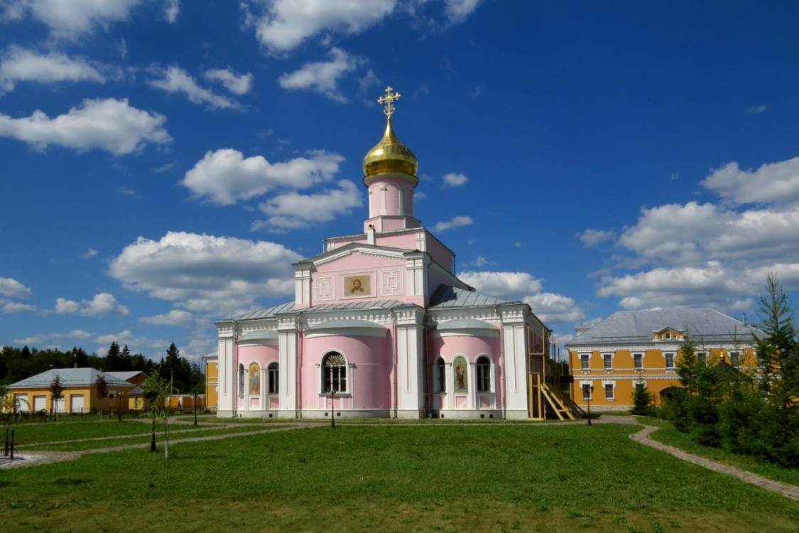 Зосимова пустынь. Троице-Одигитриевская Зосимова пустынь. Собор Троицы Живоначальной. общий вид в ландшафте