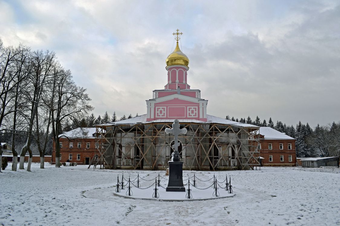 Зосимова пустынь. Троице-Одигитриевская Зосимова пустынь. Собор Троицы Живоначальной. общий вид в ландшафте