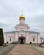 Троице-Одигитриевская Зосимова пустынь. Собор Троицы Живоначальной, , Москва, Троицкий административный округ (ТАО), г. Москва