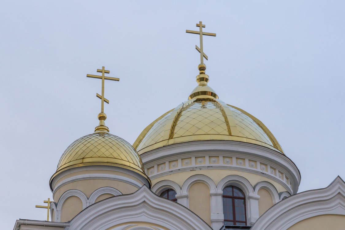 Никитский Каширский монастырь. Собор Преображения Господня, Кашира (Каширский городской округ, Московская область). архитектурные детали, Главы