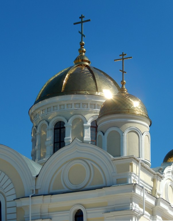Никитский Каширский монастырь. Собор Преображения Господня, Кашира (Каширский городской округ, Московская область). архитектурные детали