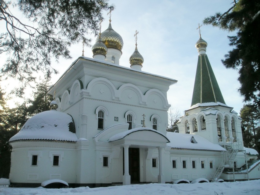 Церковь Покрова Пресвятой Богородицы, Бор (Бор, ГО, Нижегородская область). общий вид в ландшафте