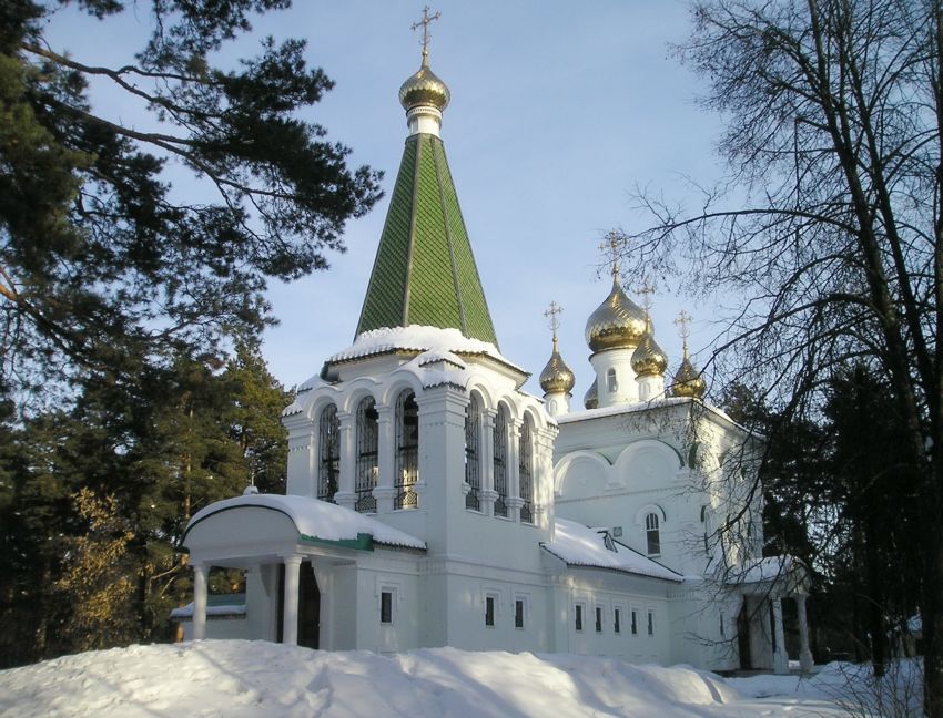 Церковь Покрова Пресвятой Богородицы, Бор (Бор, ГО, Нижегородская область). общий вид в ландшафте