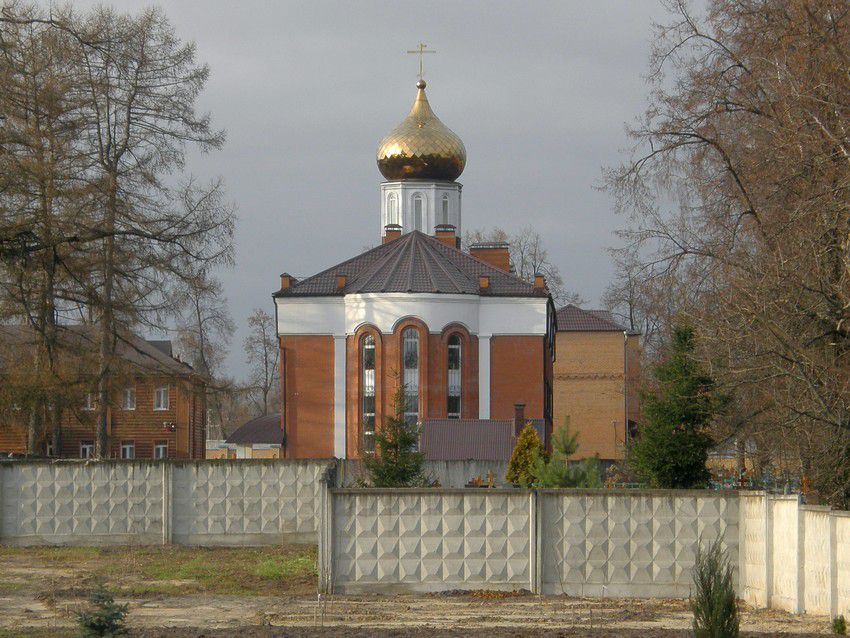 Покровско-Васильевский мужской монастырь. Церковь Михаила Архангела, Павловский Посад (Павлово-Посадский городской округ и г. Электрогорск, Московская область). общий вид в ландшафте