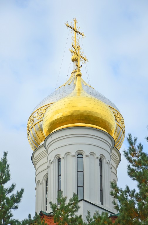 Собор Воскресения Христова, Дзержинск (Дзержинск, город, Нижегородская область). архитектурные детали