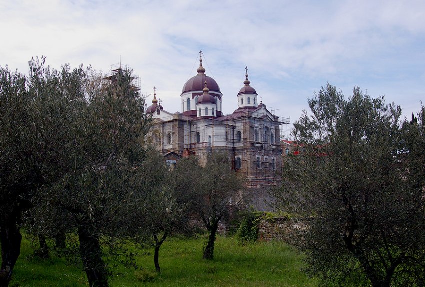 Андреевский скит, Афон (Ἀθως) (Айон-Орос (Άγιον Όρος), Греция). дополнительная информация, Оливковый сад скита