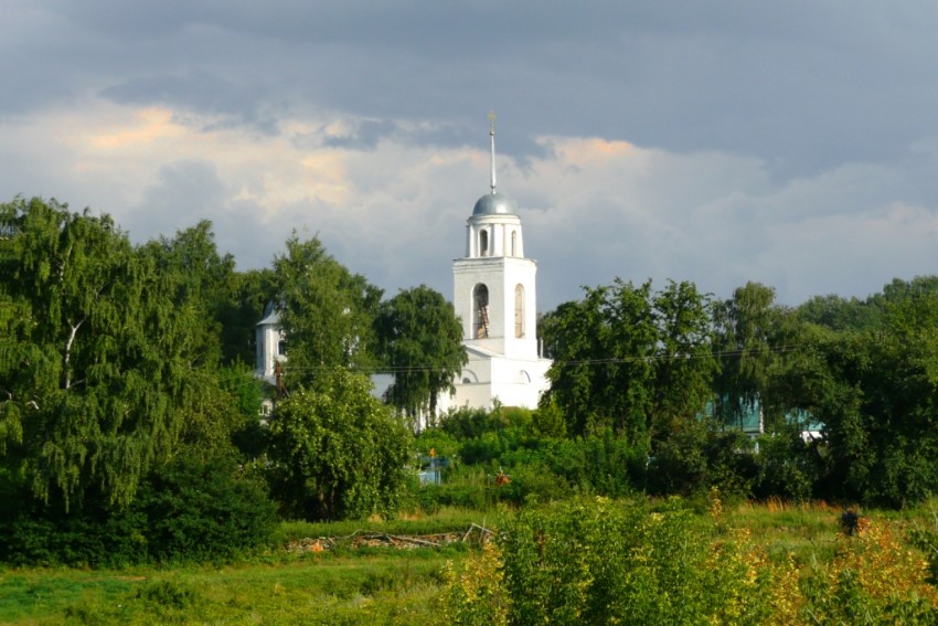 Церковь Покрова Пресвятой Богородицы, Покровское (Тербунский район, Липецкая область). общий вид в ландшафте