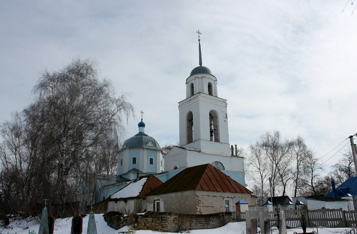 Церковь Покрова Пресвятой Богородицы, Покровское (Тербунский район, Липецкая область). дополнительная информация, Общий вид с северо-запада