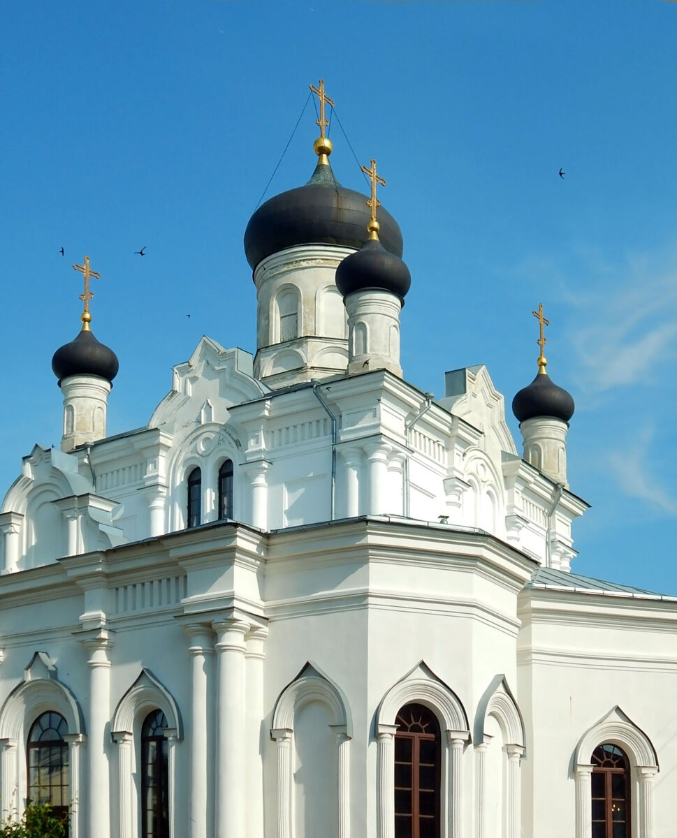 Троицкий Мариинский монастырь. Собор Троицы Живоначальной, Егорьевск (Егорьевский городской округ, Московская область). архитектурные детали